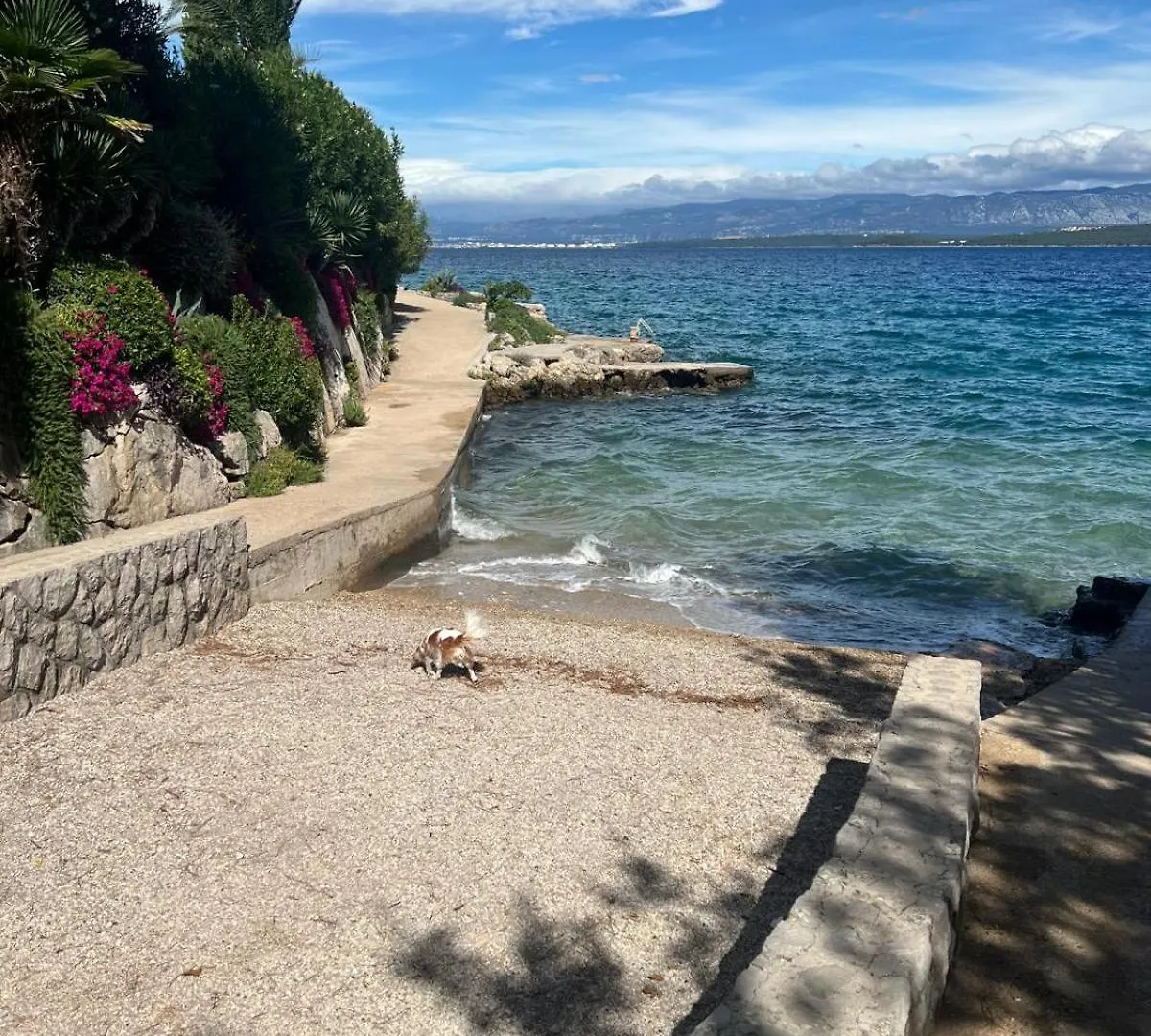 Art Gallery Suite Vantacici Croatia